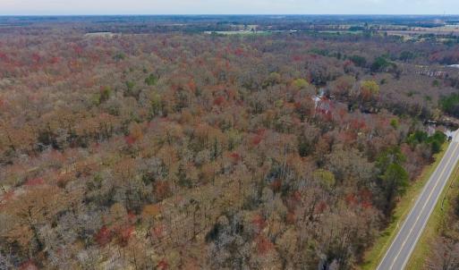 Photo of SOLD!  43.66 Acres of Creekfront Hunting Land For Sale in Greene County NC!