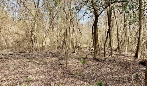 Photo of SOLD!  43.66 Acres of Creekfront Hunting Land For Sale in Greene County NC!