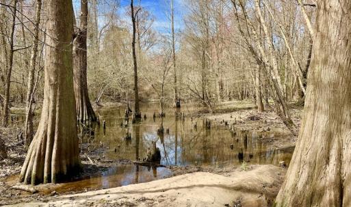 Photo of SOLD!  43.66 Acres of Creekfront Hunting Land For Sale in Greene County NC!