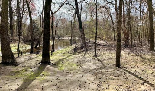 Photo of SOLD!  43.66 Acres of Creekfront Hunting Land For Sale in Greene County NC!