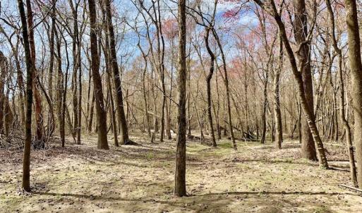 Photo of SOLD!  43.66 Acres of Creekfront Hunting Land For Sale in Greene County NC!