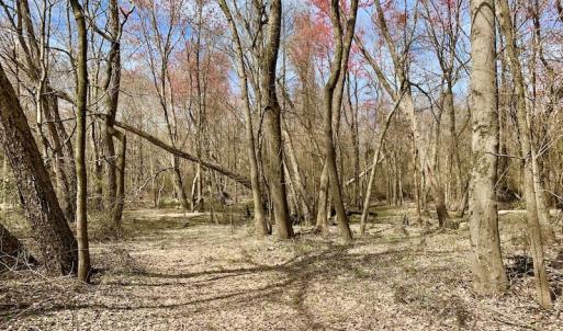 Photo of SOLD!  43.66 Acres of Creekfront Hunting Land For Sale in Greene County NC!