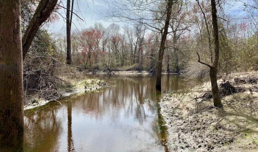 Photo of SOLD!  43.66 Acres of Creekfront Hunting Land For Sale in Greene County NC!
