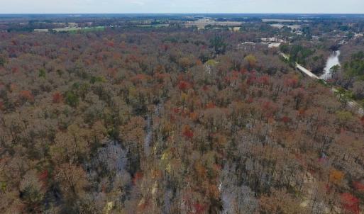 Photo of SOLD!  43.66 Acres of Creekfront Hunting Land For Sale in Greene County NC!