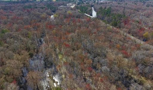 Photo of SOLD!  43.66 Acres of Creekfront Hunting Land For Sale in Greene County NC!