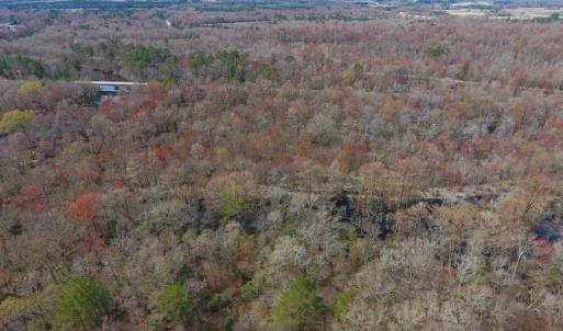 Photo of SOLD!  43.66 Acres of Creekfront Hunting Land For Sale in Greene County NC!