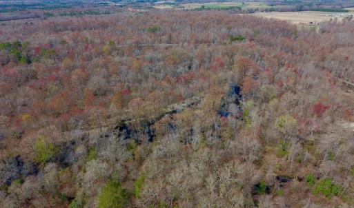 Photo of SOLD!  43.66 Acres of Creekfront Hunting Land For Sale in Greene County NC!