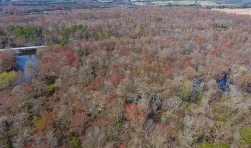 Photo of SOLD!  43.66 Acres of Creekfront Hunting Land For Sale in Greene County NC!