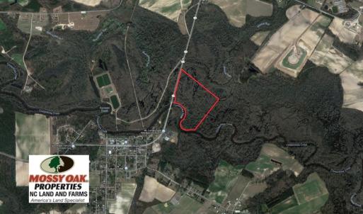Photo of SOLD!  43.66 Acres of Creekfront Hunting Land For Sale in Greene County NC!