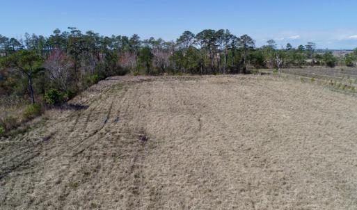 Photo of SOLD!  11 Acre Mini Farm with Sound View For Sale in Currituck County NC!
