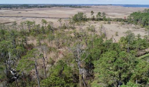 Photo of SOLD!  11 Acre Mini Farm with Sound View For Sale in Currituck County NC!