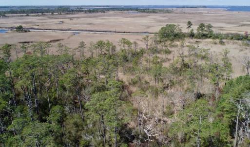 Photo of SOLD!  11 Acre Mini Farm with Sound View For Sale in Currituck County NC!