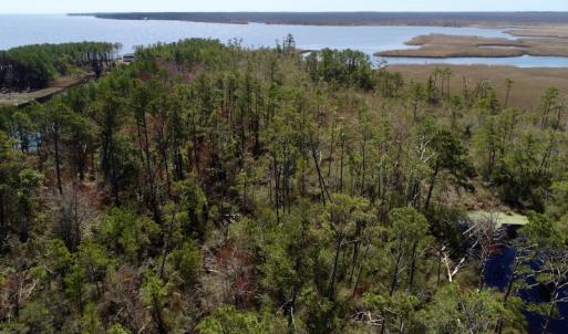 Photo of SOLD!  11 Acre Mini Farm with Sound View For Sale in Currituck County NC!