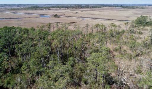 Photo of SOLD!  11 Acre Mini Farm with Sound View For Sale in Currituck County NC!