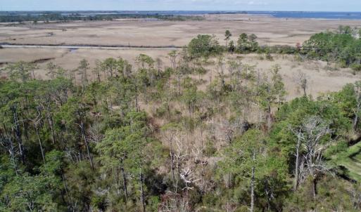 Photo of SOLD!  11 Acre Mini Farm with Sound View For Sale in Currituck County NC!