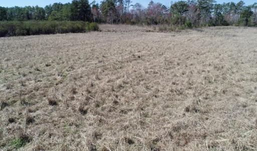 Photo of SOLD!  11 Acre Mini Farm with Sound View For Sale in Currituck County NC!
