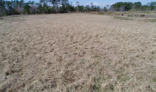 Photo of SOLD!  11 Acre Mini Farm with Sound View For Sale in Currituck County NC!