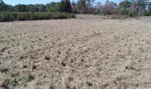 Photo of SOLD!  11 Acre Mini Farm with Sound View For Sale in Currituck County NC!