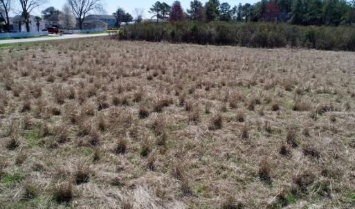 Photo of SOLD!  11 Acre Mini Farm with Sound View For Sale in Currituck County NC!