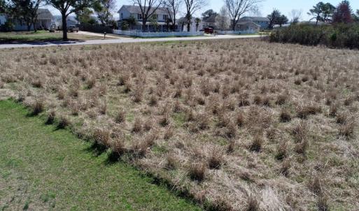 Photo of SOLD!  11 Acre Mini Farm with Sound View For Sale in Currituck County NC!