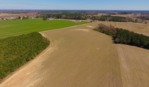 Photo of UNDER CONTRACT!  56.69 Acres of Farm and Timber Land For Sale in Wilson County NC!