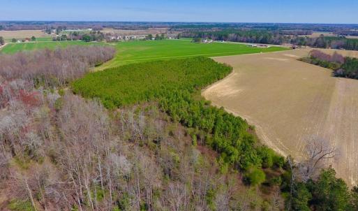 Photo of UNDER CONTRACT!  56.69 Acres of Farm and Timber Land For Sale in Wilson County NC!
