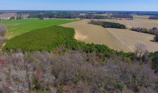 Photo of UNDER CONTRACT!  56.69 Acres of Farm and Timber Land For Sale in Wilson County NC!