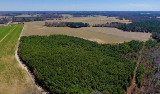 Photo of UNDER CONTRACT!  56.69 Acres of Farm and Timber Land For Sale in Wilson County NC!