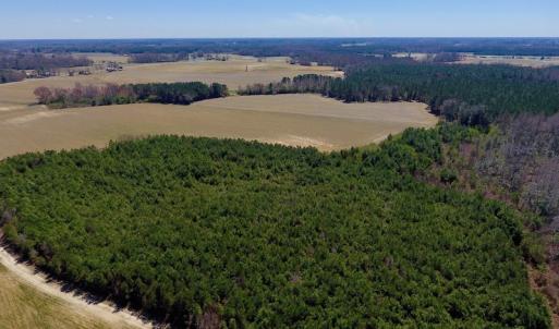 Photo of UNDER CONTRACT!  56.69 Acres of Farm and Timber Land For Sale in Wilson County NC!
