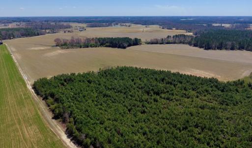 Photo of UNDER CONTRACT!  56.69 Acres of Farm and Timber Land For Sale in Wilson County NC!