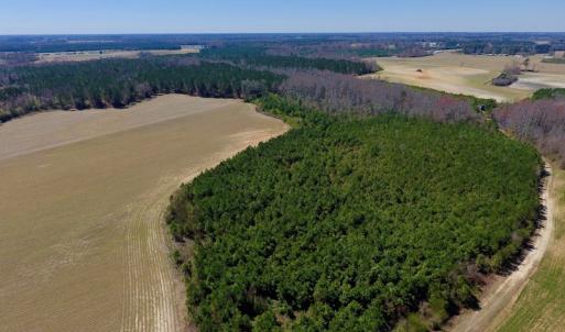 Photo of UNDER CONTRACT!  56.69 Acres of Farm and Timber Land For Sale in Wilson County NC!