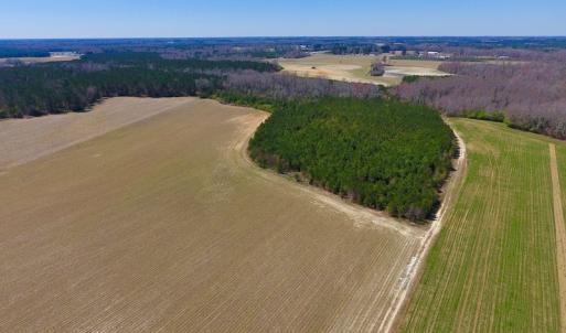 Photo of UNDER CONTRACT!  56.69 Acres of Farm and Timber Land For Sale in Wilson County NC!