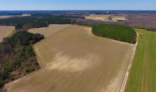 Photo of UNDER CONTRACT!  56.69 Acres of Farm and Timber Land For Sale in Wilson County NC!