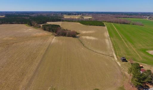 Photo of UNDER CONTRACT!  56.69 Acres of Farm and Timber Land For Sale in Wilson County NC!