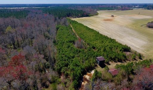 Photo of UNDER CONTRACT!  56.69 Acres of Farm and Timber Land For Sale in Wilson County NC!