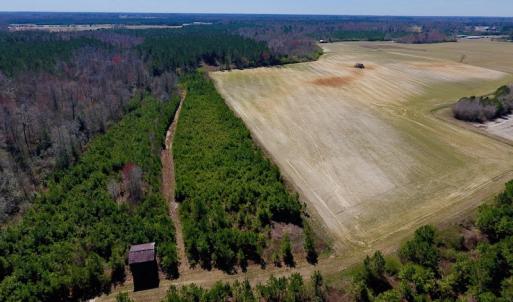 Photo of UNDER CONTRACT!  56.69 Acres of Farm and Timber Land For Sale in Wilson County NC!