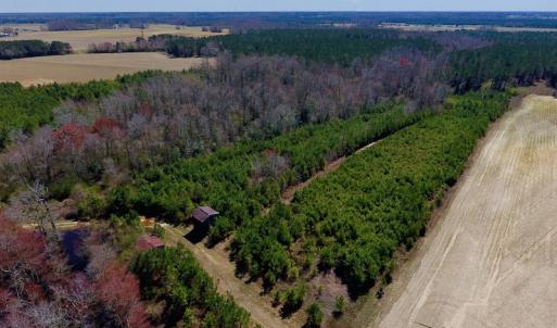 Photo of UNDER CONTRACT!  56.69 Acres of Farm and Timber Land For Sale in Wilson County NC!
