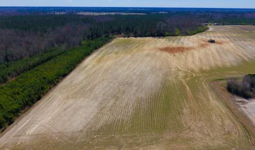 Photo of UNDER CONTRACT!  56.69 Acres of Farm and Timber Land For Sale in Wilson County NC!