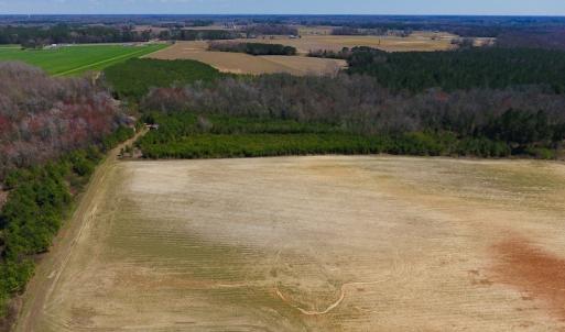 Photo of UNDER CONTRACT!  56.69 Acres of Farm and Timber Land For Sale in Wilson County NC!