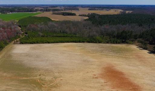 Photo of UNDER CONTRACT!  56.69 Acres of Farm and Timber Land For Sale in Wilson County NC!