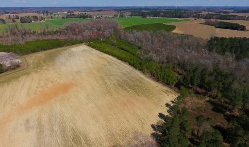 Photo of UNDER CONTRACT!  56.69 Acres of Farm and Timber Land For Sale in Wilson County NC!