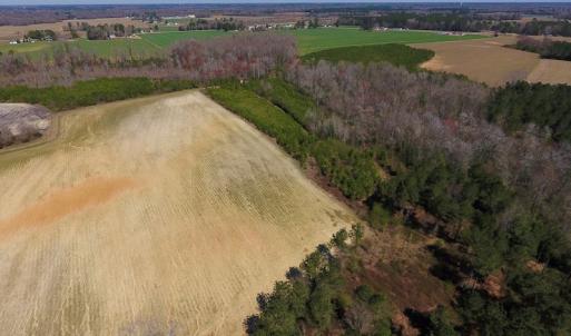 Photo of UNDER CONTRACT!  56.69 Acres of Farm and Timber Land For Sale in Wilson County NC!