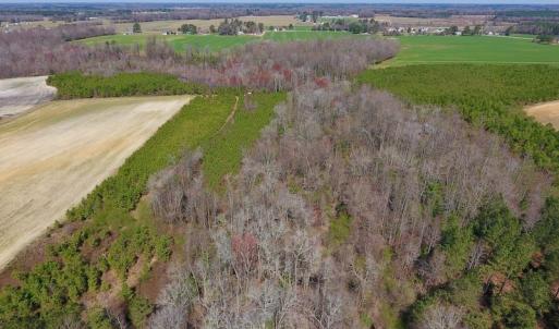 Photo of UNDER CONTRACT!  56.69 Acres of Farm and Timber Land For Sale in Wilson County NC!