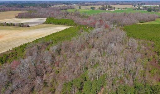 Photo of UNDER CONTRACT!  56.69 Acres of Farm and Timber Land For Sale in Wilson County NC!