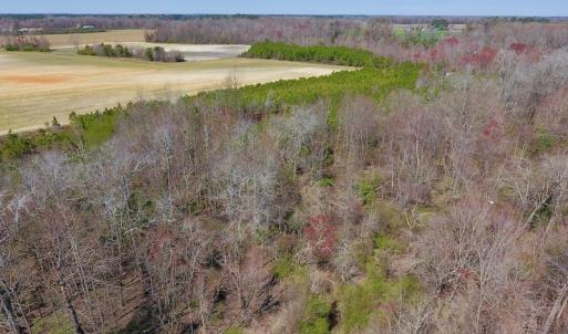 Photo of UNDER CONTRACT!  56.69 Acres of Farm and Timber Land For Sale in Wilson County NC!