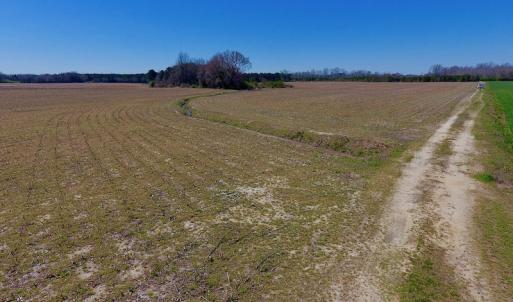 Photo of UNDER CONTRACT!  56.69 Acres of Farm and Timber Land For Sale in Wilson County NC!