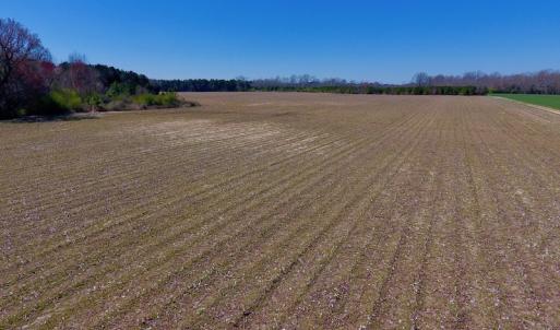 Photo of UNDER CONTRACT!  56.69 Acres of Farm and Timber Land For Sale in Wilson County NC!