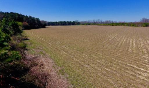 Photo of UNDER CONTRACT!  56.69 Acres of Farm and Timber Land For Sale in Wilson County NC!