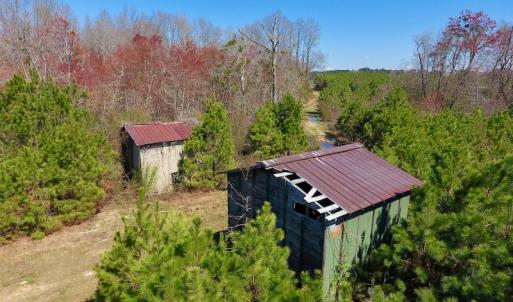 Photo of UNDER CONTRACT!  56.69 Acres of Farm and Timber Land For Sale in Wilson County NC!