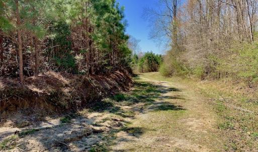 Photo of UNDER CONTRACT!  56.69 Acres of Farm and Timber Land For Sale in Wilson County NC!